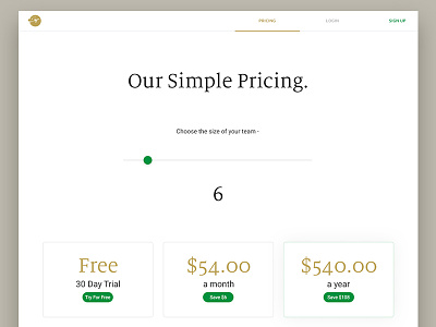 Slingshot pricing page! button form gold hero menu plan pricing scroll ui ux