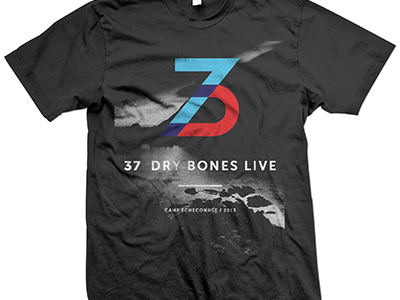 37 t-shirt design