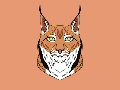 Brown Lynx animal beast bobcat brown cartoon cat design dribbble face head illustration king lynx mascot portrait predator print royal vector zoo