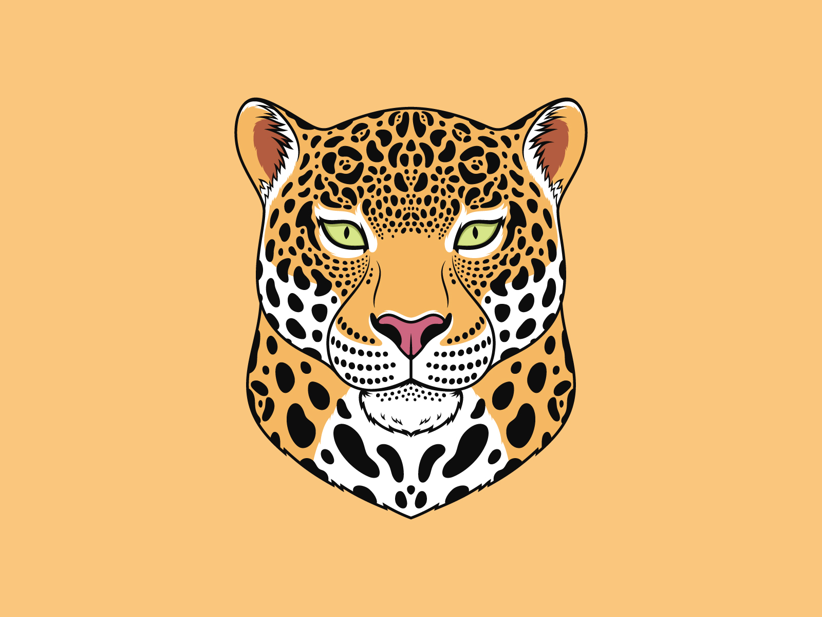 Jaguar Cat by Dmitry Mayer on Dribbble