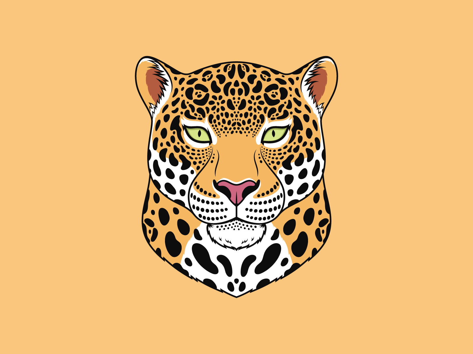 Jaguar Cat by Dmitry Mayer on Dribbble