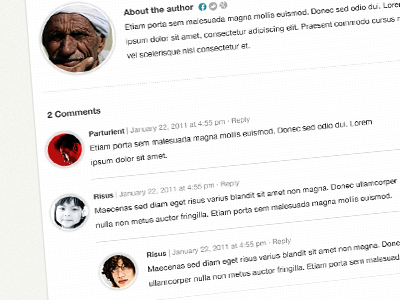 Post Author & Comments author blog comments post reviews theme