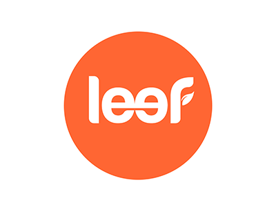 Leef after efects leaf logo animation reveal