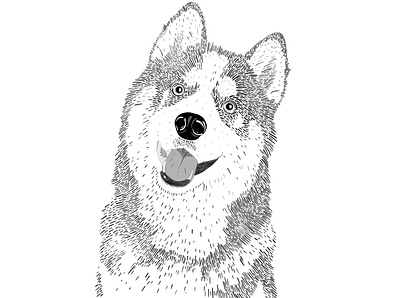 "Husky" Day 6 of Inktober 2019 adobe adobe illustrator art blackandwhite design design art dog greyscale happy hatching husky illustration illustration art inktober2019 minimal vector vector illustration wacom wacom cintiq