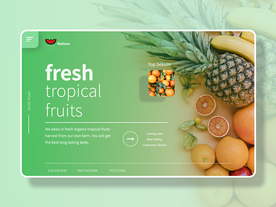Fruit landing page branding design home page design homescreen landing design ui ux webdesign