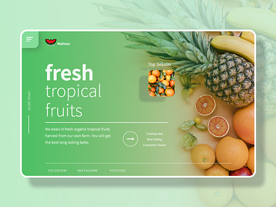 Fruit landing page