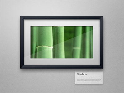 Bamboo Museum bamboo frame museum picture text tiny