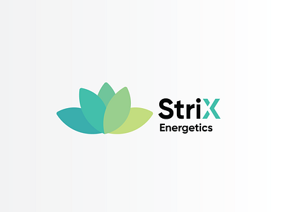 StriX Energetics Logo branding graphic graphicdesign identity identitydesign logo logo design logotype vector