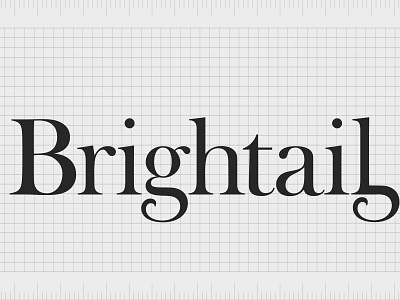 Company Name Plate Designs Themes Templates And Downloadable Graphic Elements On Dribbble Company Name Plate Designs Themes Templates And Downloadable Graphic Elements On Dribbble