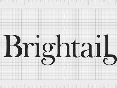 Brightail.com brand branding branding agency business name company name design domain entrepreneurship logo name ideas naming