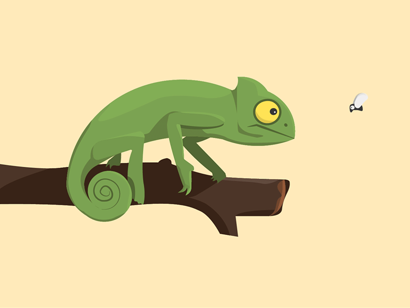Hesitant Chameleon aftereffets animation chameleon fly hesitant illustration vector