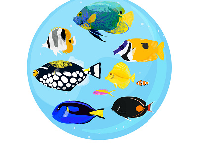 Set of tropical fish angelfish aquarium butterflyfish design fish icons illustraion logo ocean ocellaris clownfish ocellaris clownfish sea summer tropical underwater vector yellow tang