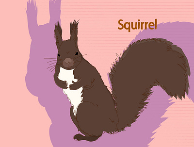 squirrel animal character creature design icon illustraion logo nature squirrel vector web アイコン イラスト ベクター