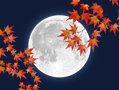 maple autumn design illustration landscape leaf leaves logo maple moon naight nature portfolio season vector web