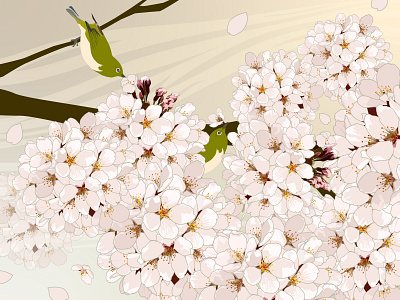 White-eye and cherry blossoms