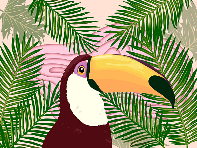 toucan animal background beak bird botanical branding color flyer leaf leaves nature pink poster toucan tropical ui ux vector web zoo