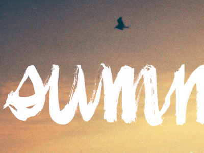 summer bird brush handwritten script sunset