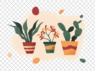 Houseplants vector illustration abstract background cactus houseplants illustration vector vector texture