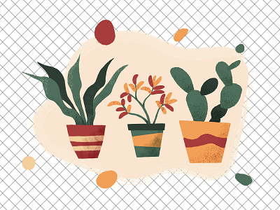 Houseplants vector illustration