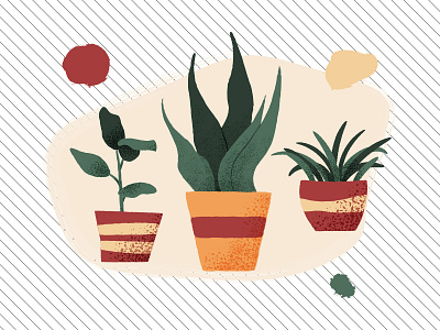 Houseplants vector illustration