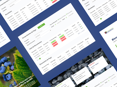 Inka's Berries app application business dashboad design managment nature portal product product design productivity ui ui ux user experience user interface ux web app web design web design agency web designer