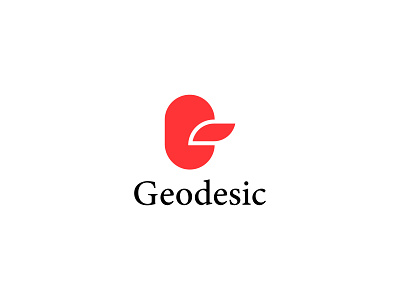 Geodesic Brand Logo Design