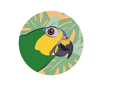 PARROT affinity affinity designer affinityphoto animal art artwork colorful colors design digital digitalart digitalgraphic graphic graphicdesign illustration illustrator parrot pet portrait portrait poster