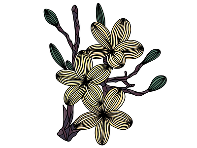 Y E L L O W F L O W E R bamboo botanic botanical colors digital digitaldrawing digitalgraphic flower graphic graphicdesign hobby procreate wacom