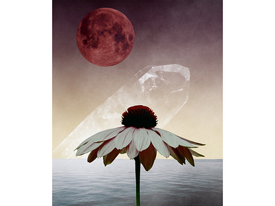 X art artistic artwork collage collagee design digital digitaldesign flower moon picture poster procreate