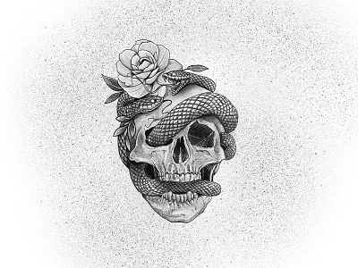 Snakes, Skull & Rose Illustration drawing rose skull snake snake illustration