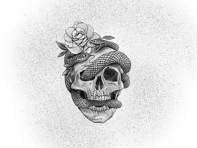 Snakes, Skull & Rose Illustration