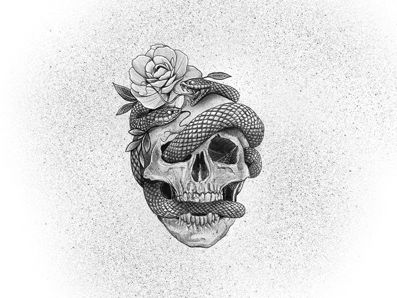Skull with snake tattoo Royalty Free Vector Image