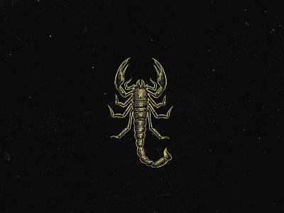 Scorpion Illustration crosshatch hand drawn illustration insect scorpio scorpion sketch zodiac