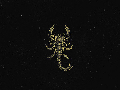 Scorpion Illustration