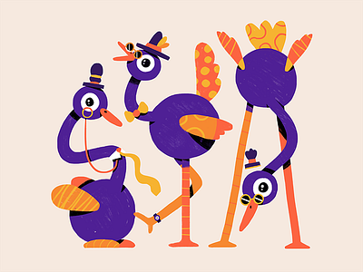 Fancy Birds