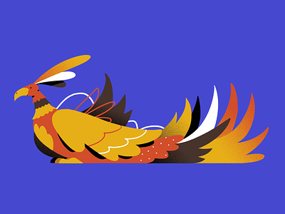 The Fenix adobe bird character fire illustration legend mith mithology shapes textures