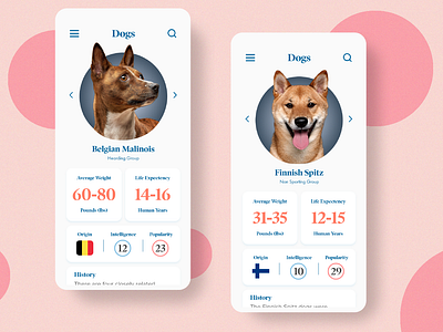 Dog Breed App Concept app concept design flat gradient minimal typography ui ux website