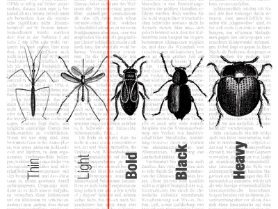Font & insect weight black bold font heavy light thin typography weight
