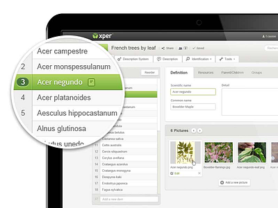 Xper 3 - UI Design app clean light ui design web app