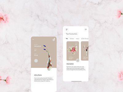 Flower Shop App design design app flat flower flower bouquet delivery in dubai ios iphone x minimal new trend ui user experience user interface ux