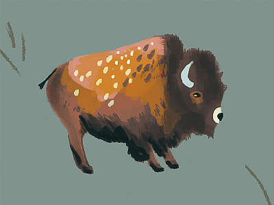 Buffalo animal bison buffalo digital illustration