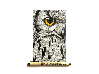 Owl animal bird blackandwhite drawing drawings eye ink inkart inking owl painting stampio