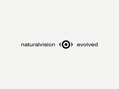 Naturalvision Evolved black branding grand theft auto grey gta logo logotype minimal mod typogaphy wordmark