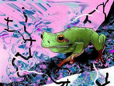 Dendrobates (Amazon Frog)