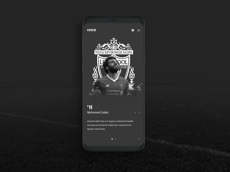 Fifa 21 designs, themes, templates and downloadable graphic elements on  Dribbble