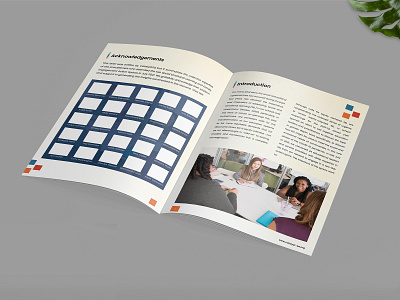 Catalyst Brochure Design | Social Media Design