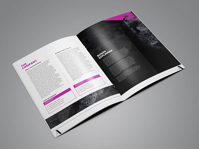 Argyle Group Brochure Design advertise advertisement branding brochure brochure design brochure layout brochure mockup brochure template design illustration typography