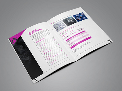 Acquisitions Brochure Design