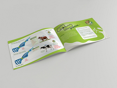Ente Moo Promise Brochure Design advertise advertisement branding brochure brochure design brochure layout brochure mockup brochure template design illustration typography