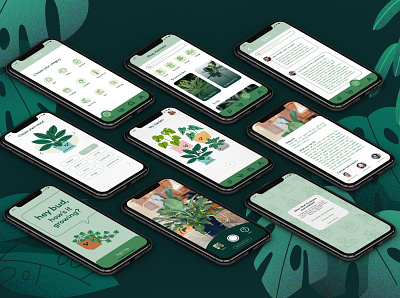 Bud Plant App, Page Layouts app design branding design graphic design mobile app mobile interface ui ui design ux